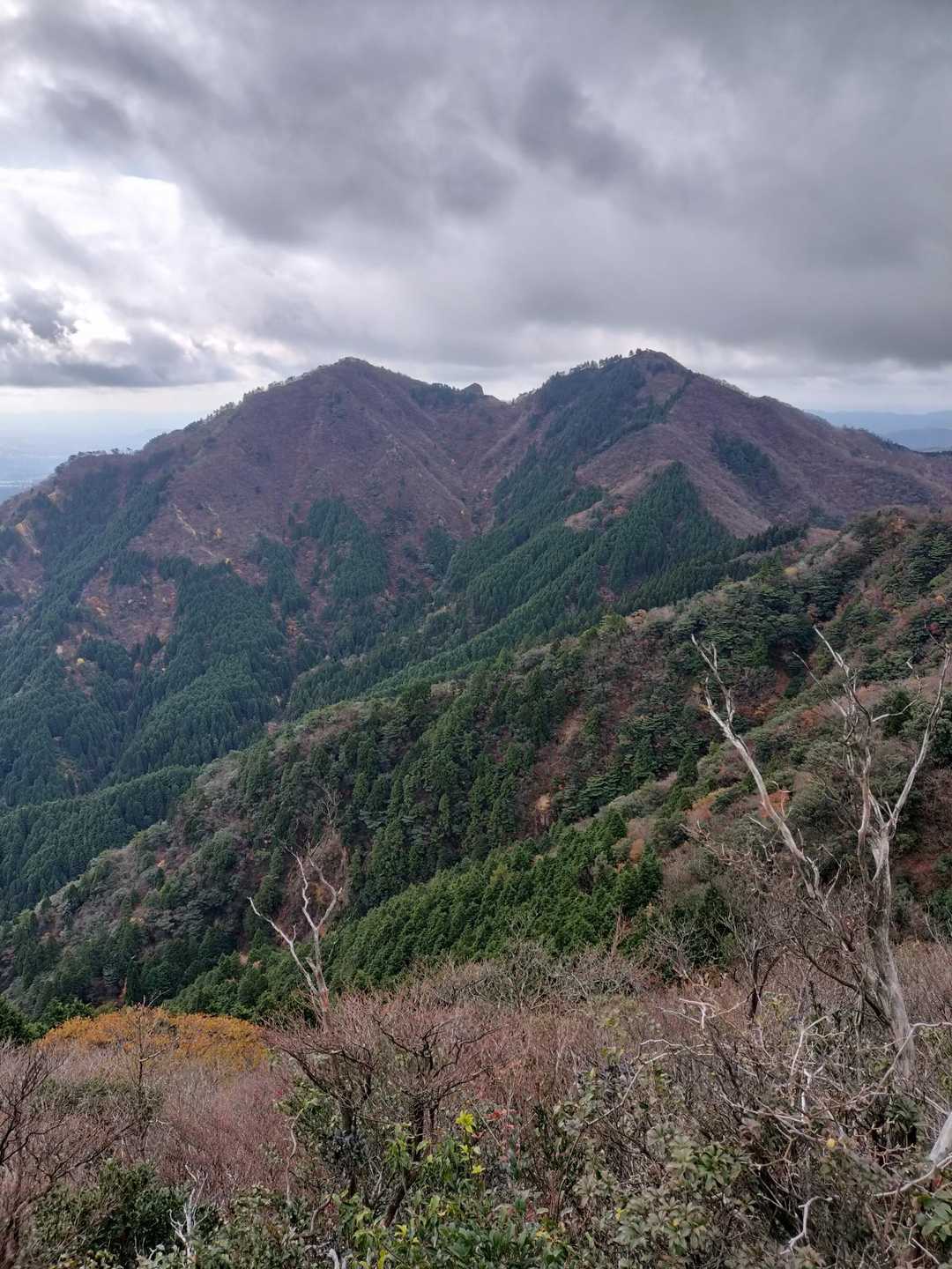 宮指路岳-小社峠-仙ヶ岳 縦走コースの写真