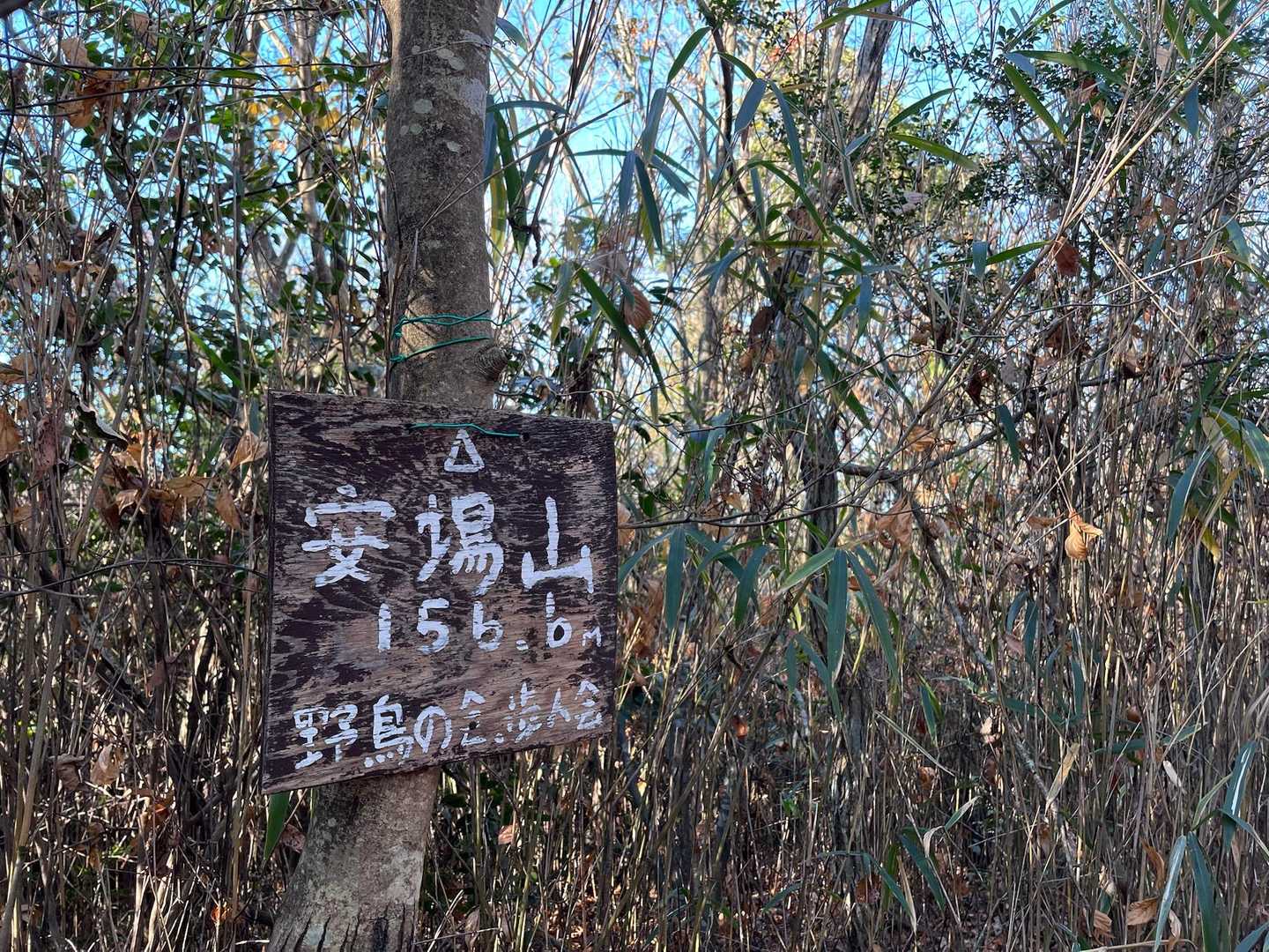 安場山