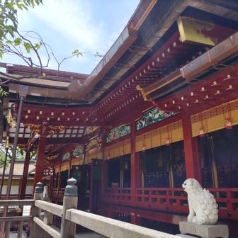横から新たな本殿を見ることが出来ました！