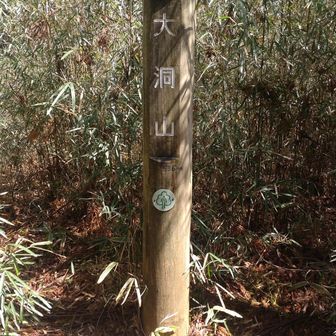 大洞山
今回コースの最高点