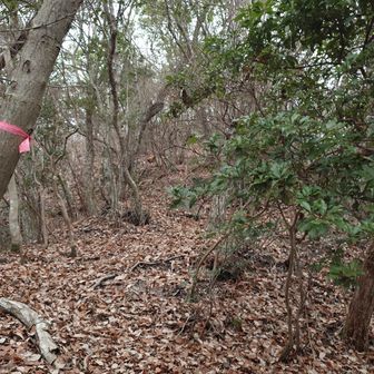 登りもツルツルだが、これ帰りが恐ろしいな((((；ﾟДﾟ))))