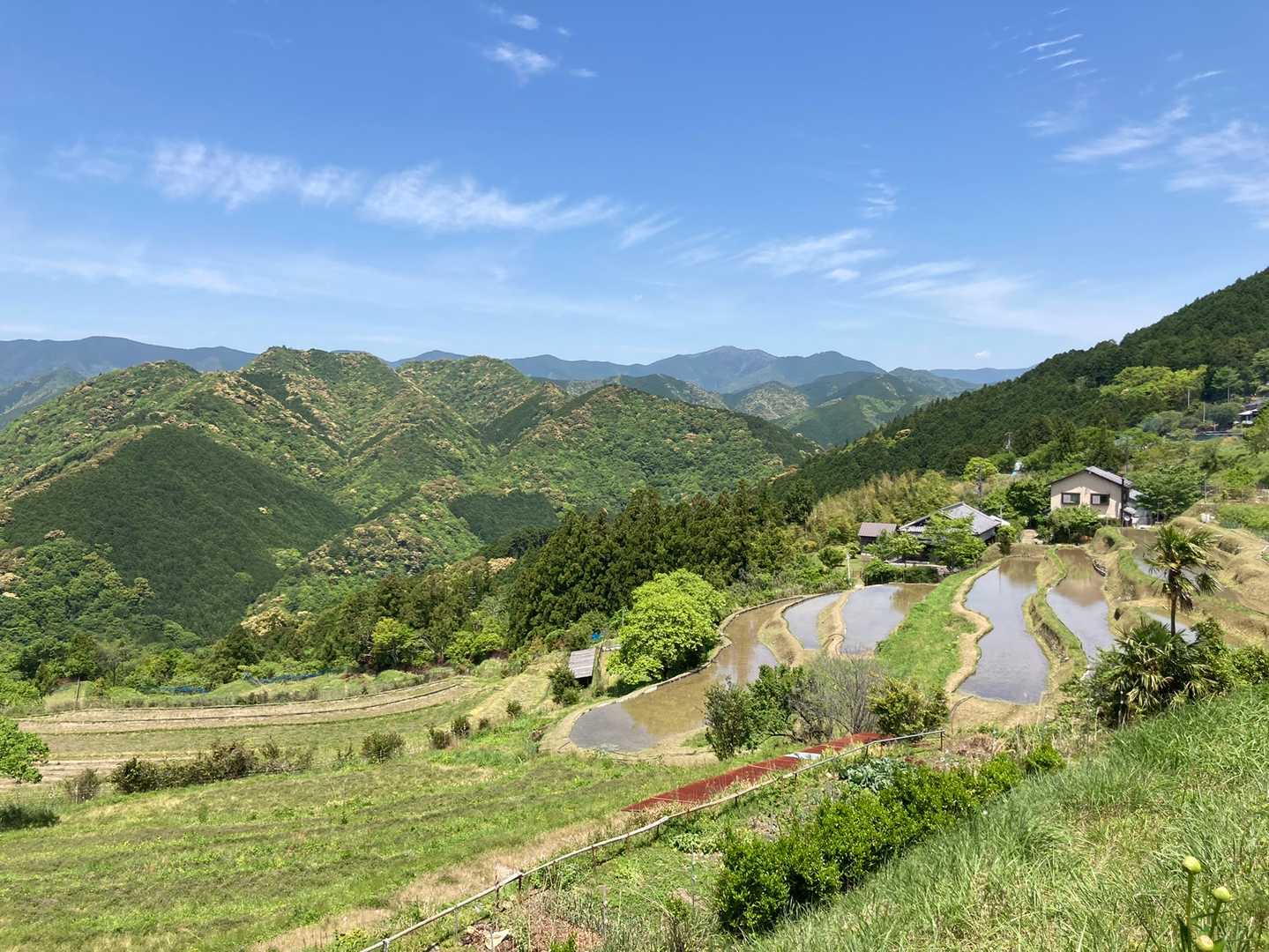 熊野古道 中辺路（滝尻王子〜近露王子）の写真