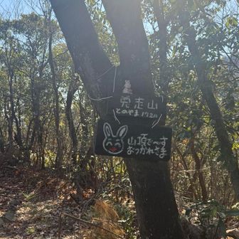 お隣の兎山到着