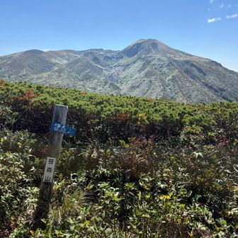 周回路最後のお山、笹森山
確かに笹、、、