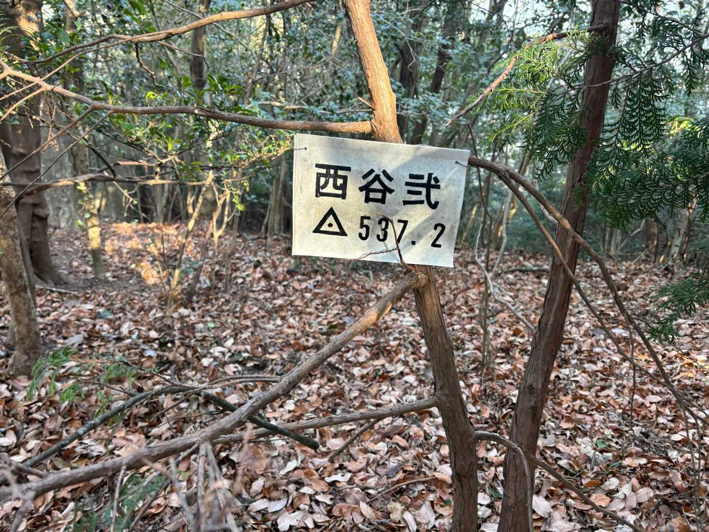 西谷弍
三角点🔺