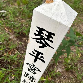 昔、ココに住んでた方の跡地

今は更地で。。。。。🧸居る位かな🤣