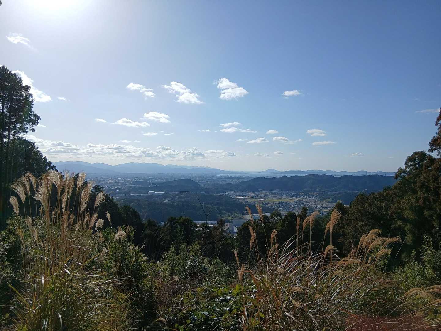 皇大神宮下バス停-伊野大神宮-遠見岳-さくら山登り口-さく 周回コースの写真