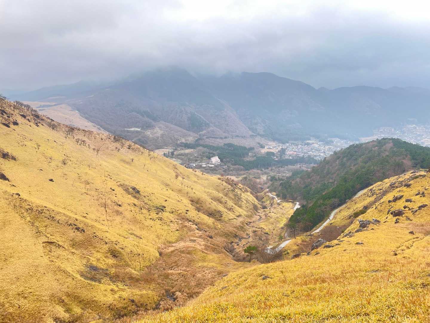 西登山口-由布岳 往復コースの写真
