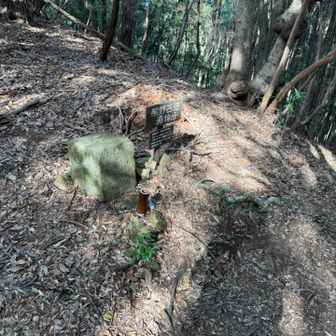 浦神峠、標高１３０ｍほどですが本日の最高点です✌️