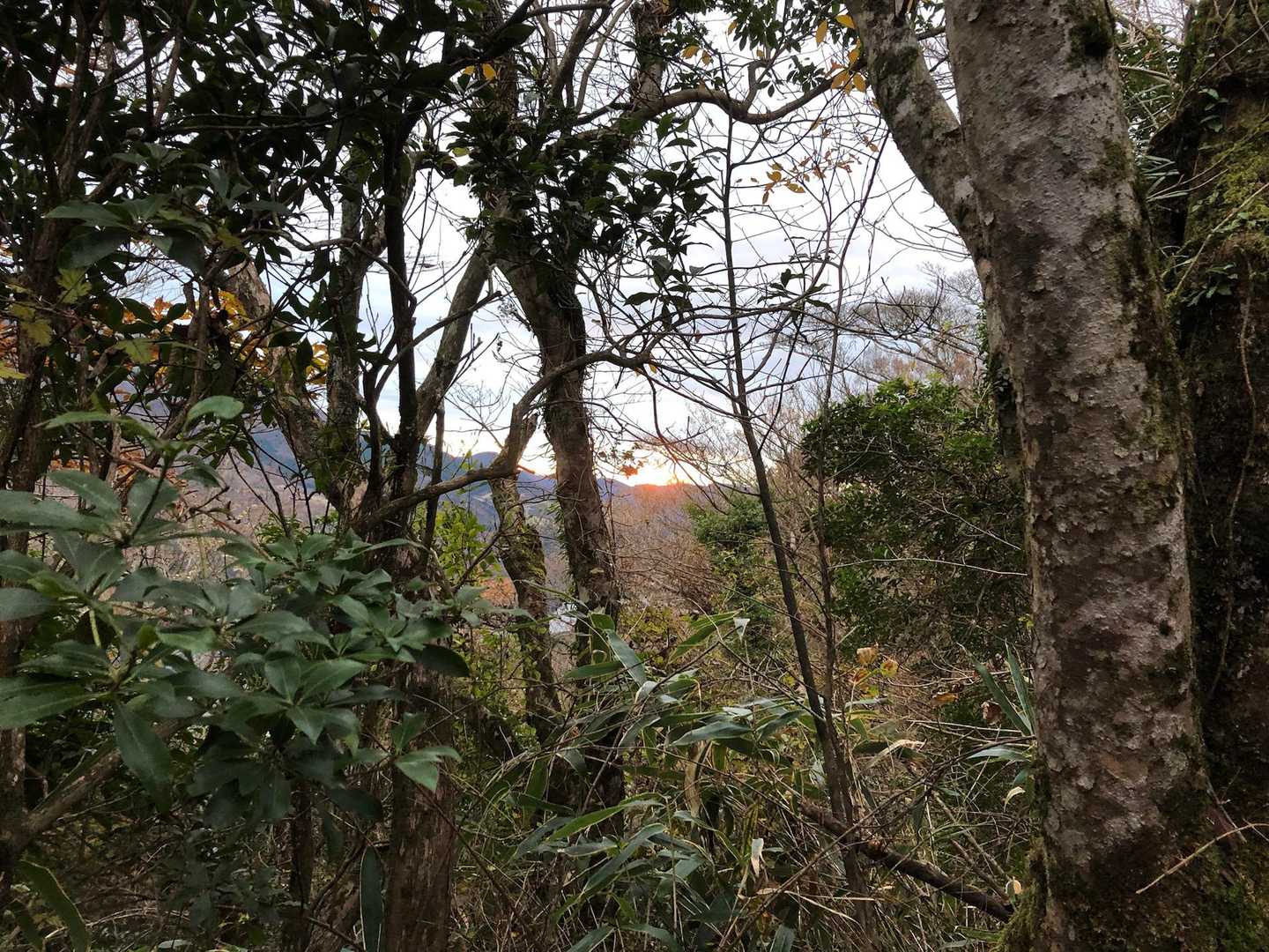 おはよう朝日が昇る✨