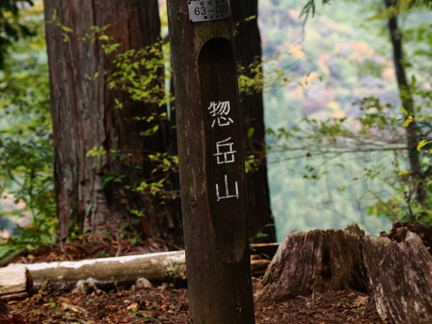 全く展望はありません