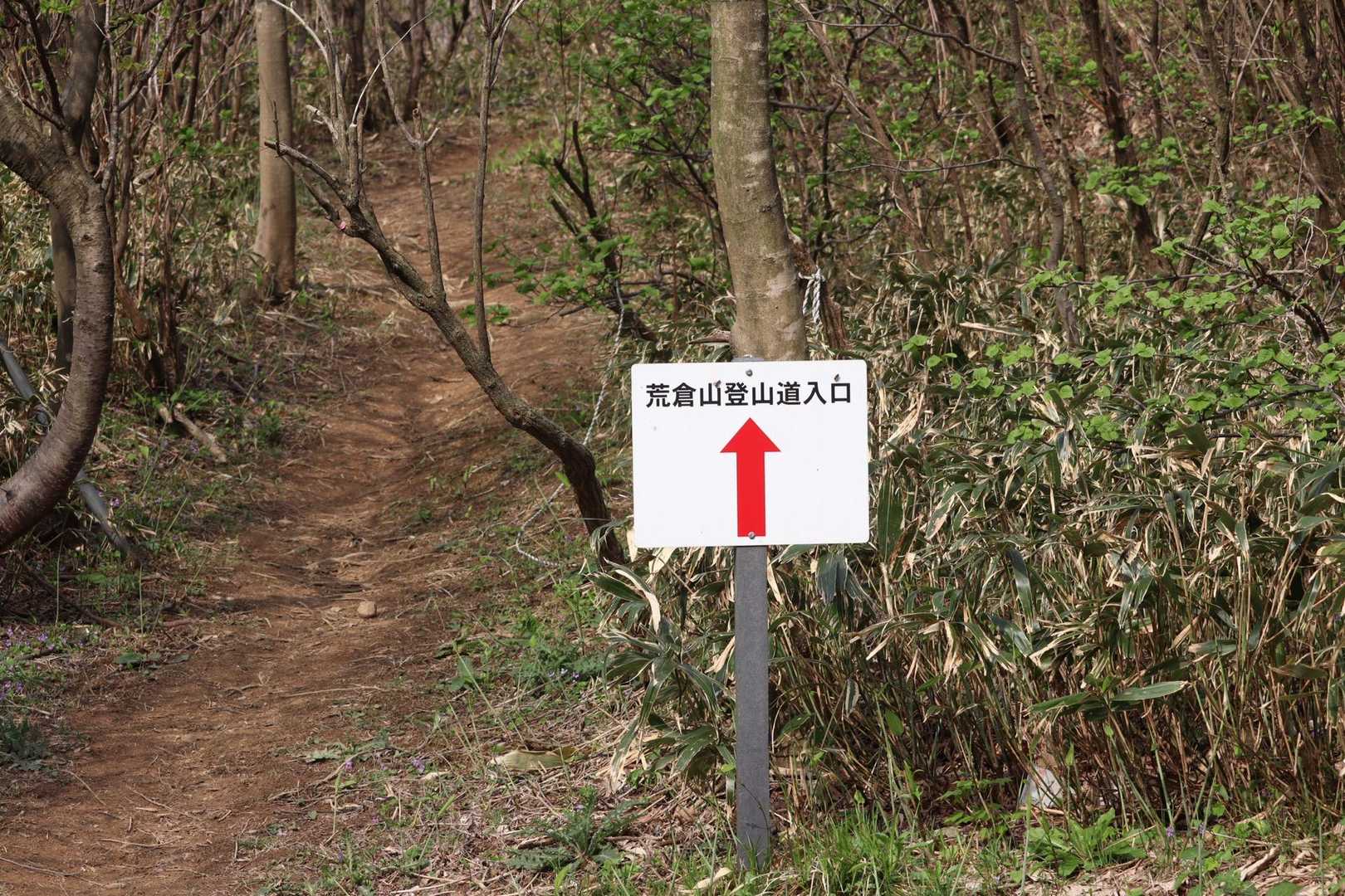 記録を見ると15時24分とあります。このあと1名の方とすれ違いましたが、あとは貸し切り。