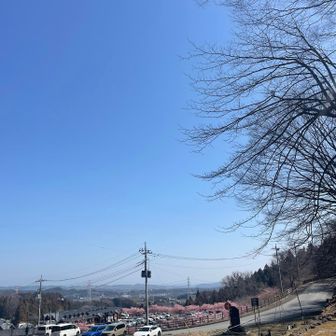 下山だけど、このまま桜を見に行っちゃって終了ボタン押してませーん笑