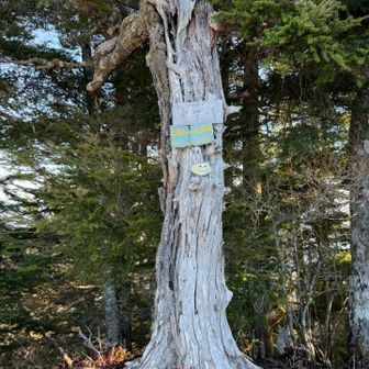 これを忘れずに！