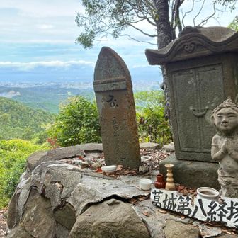 素晴らしい眺望に疲れも少し癒される🌿