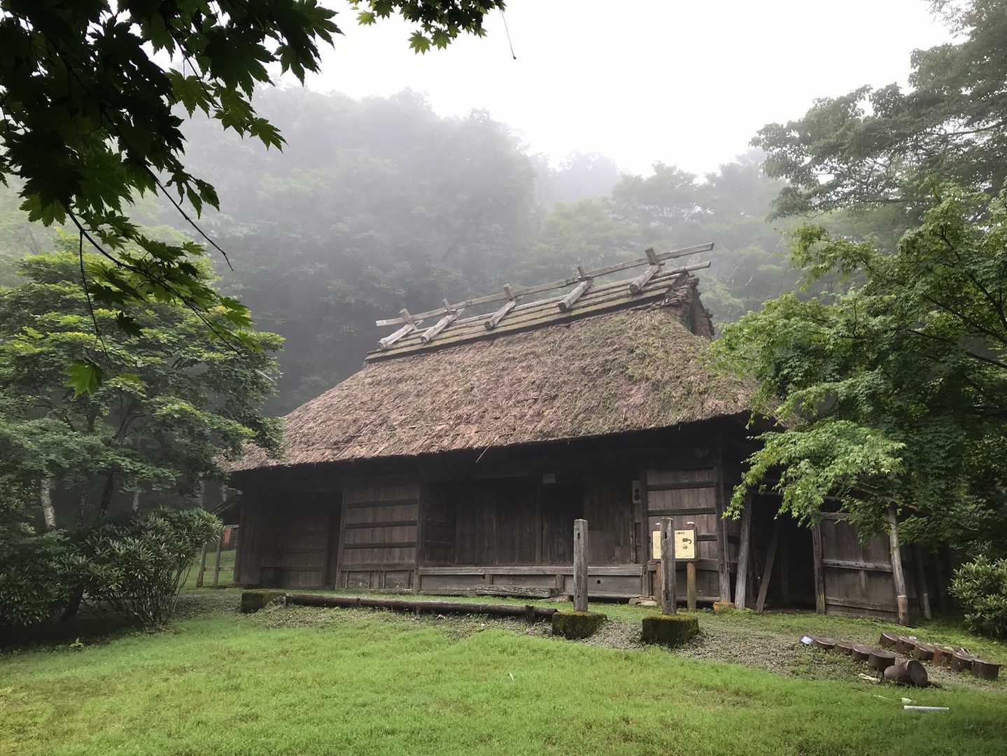 この辺からYAMAP起動‼︎
霧がすごい