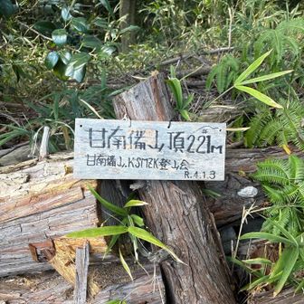 神社の奥に山頂