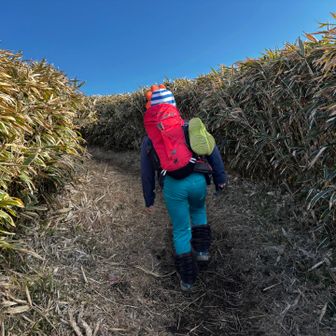 この感じ好き。
