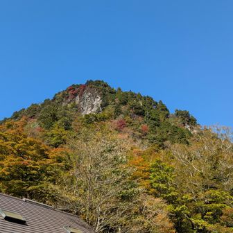 小屋まで降りてきた🐾
あの崖が座ってた所
