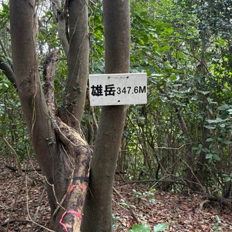 ちゃーく