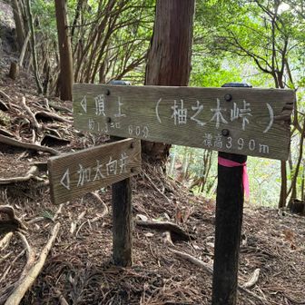 柚之木峠で直角に曲がります