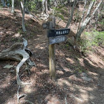 戻り東登山口へ