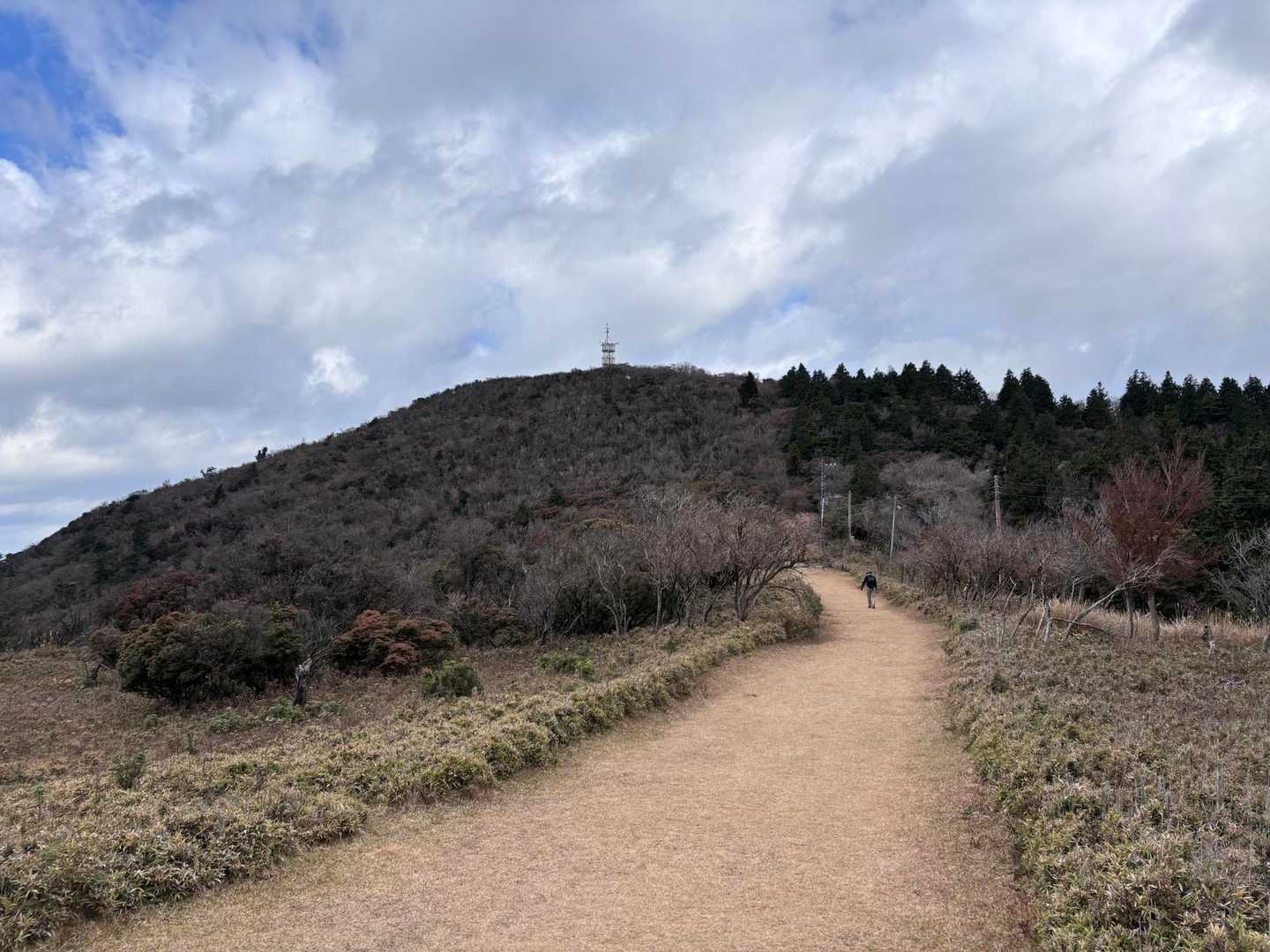 金冠山が見えました