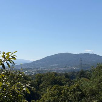 見晴らし台に出た
草原はまだ先のようで、不安になったのでここで引き返す