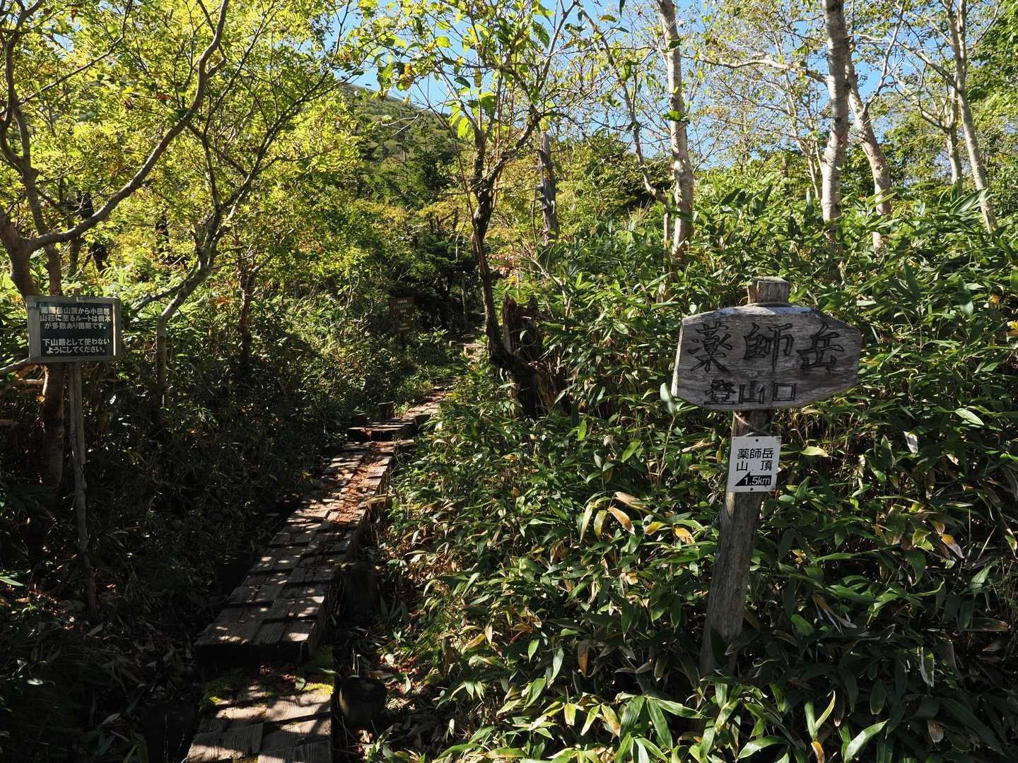 ワシ「だが断る！今日は薬師岳だ！」

早池峰「そこに痺れる憧れるぅ」

さあ茶番はここまでにして登りまっしょい🤣。