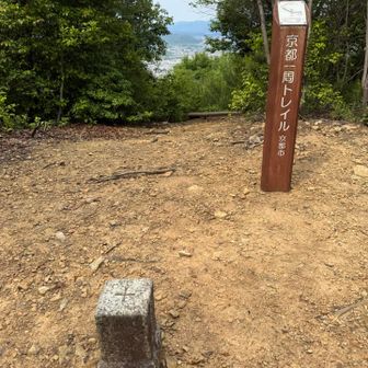 松尾山ピーク✨三角点🔺中央奥にベンチあり