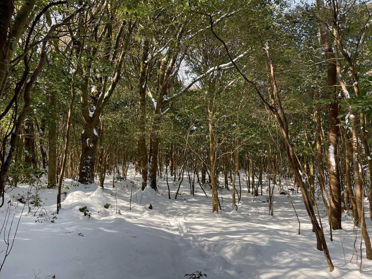 だんだんと雪が深くなってきた⛄️