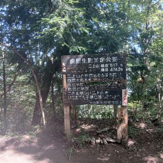 雄岳山頂