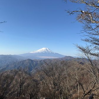 富士山が正面に見えました。