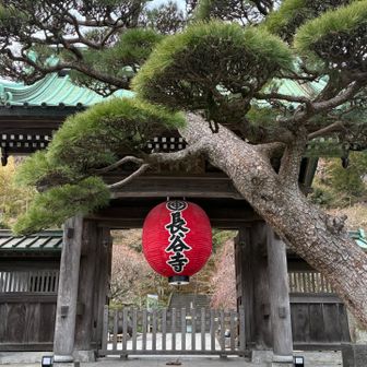 花の寺 長谷寺
この時期は空いてます