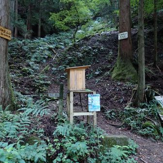 手前に通行止め看板ありましたが、落合駐車場まで行けるようでした。
天気が良くないので6:00で誰もおらず、あとから1台来ました。
12時に下山したときには満車でした。