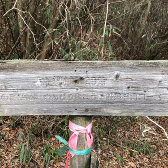 のんびり、マイペースで行きますよ！