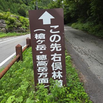 ゴールが見えた！