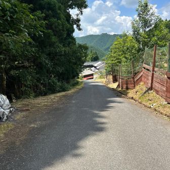 民家出てきた🏠
ここから日傘登場