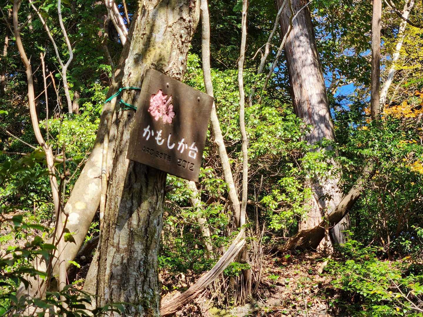 カモシカ台
昔、この辺りでよくカモシカの角を拾われたそう