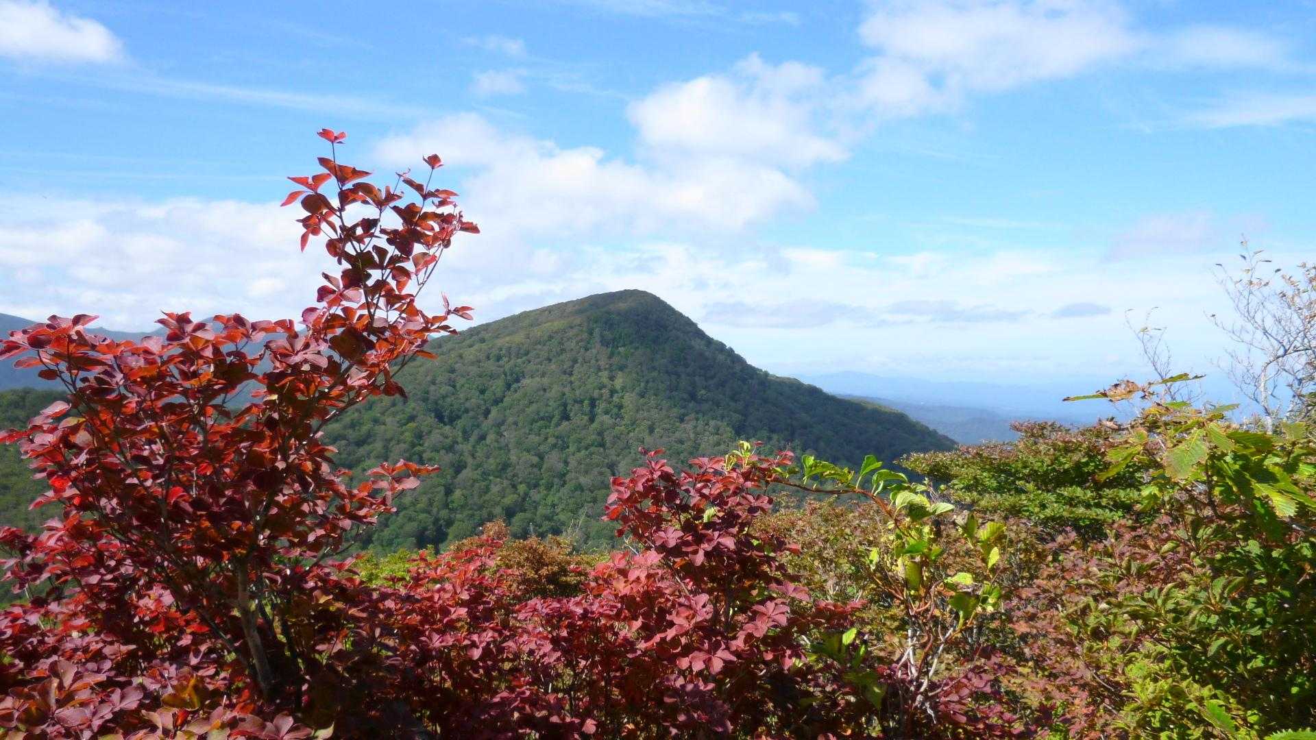 北泉ヶ岳です