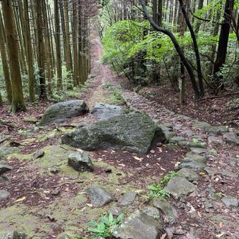 いつも間違うところ。
今日は間違わなかった。
ここを左折。