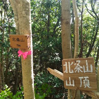 北条山 76m🙌
眺望もないので即下山する