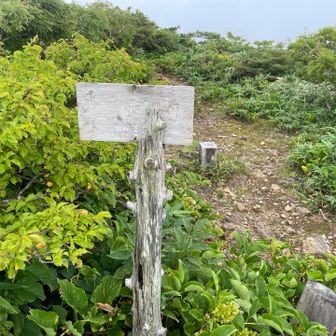 三峰山頂上です。見晴らしが抜群です。
暑すぎず、なかなか快適です