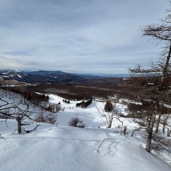 白樺スキー場だ。