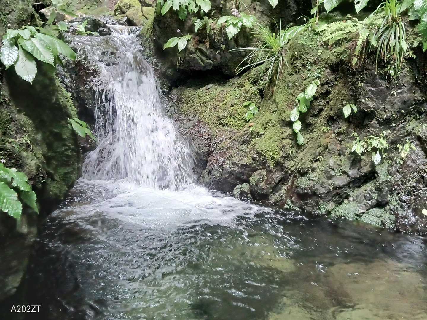 入り口から1時間弱かけて
迷い迷って目的地に到着💦
（単なる下調べ不足🤣）

トンネルとか…何処にあるんやろ🤔