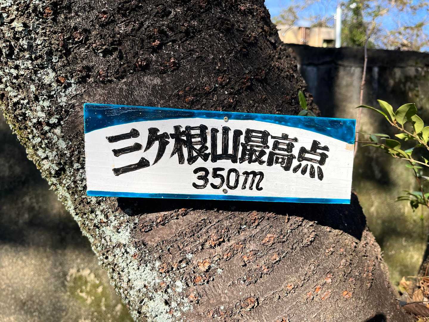 前回この表示あったかなぁ〜🤔