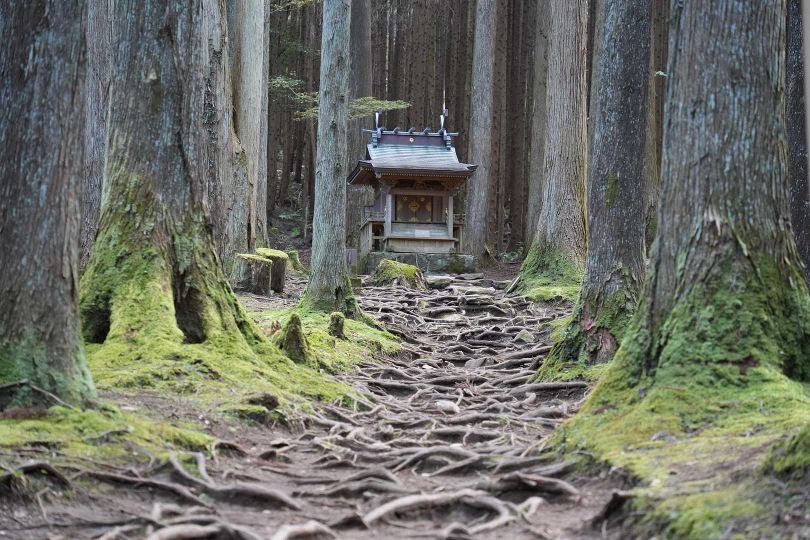良い感じです