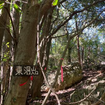 ここから東洞山へ。
いきなり蜘蛛の巣🕸️