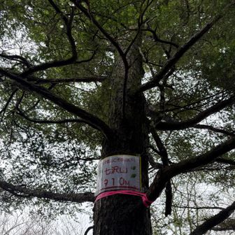 七沢山の山頂標識！実は少しルートを外れてしまって、三峰山山頂で出会った方が探しに来てくれて、合流してから教えてもらいました！ありがとうございました✨