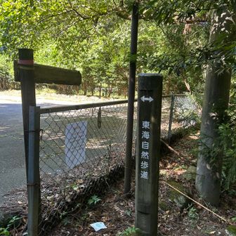 ゴールの駐車場
東海自然歩道